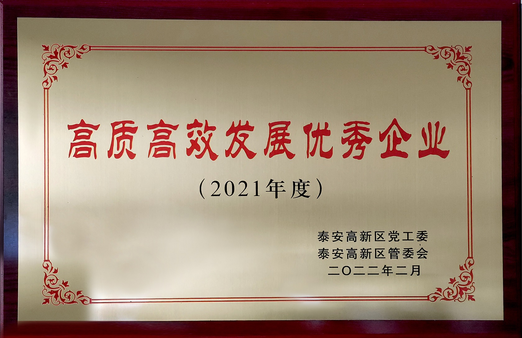 2021��ȸ��ʸ�Ч����������ҵ